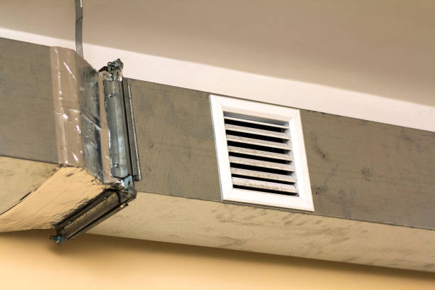 Best Professional Duct Cleaning Services  in Mendenhall, MS